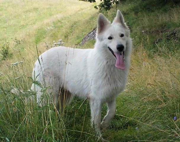 Jour dé lalit De La Rivière Aux Blancs
