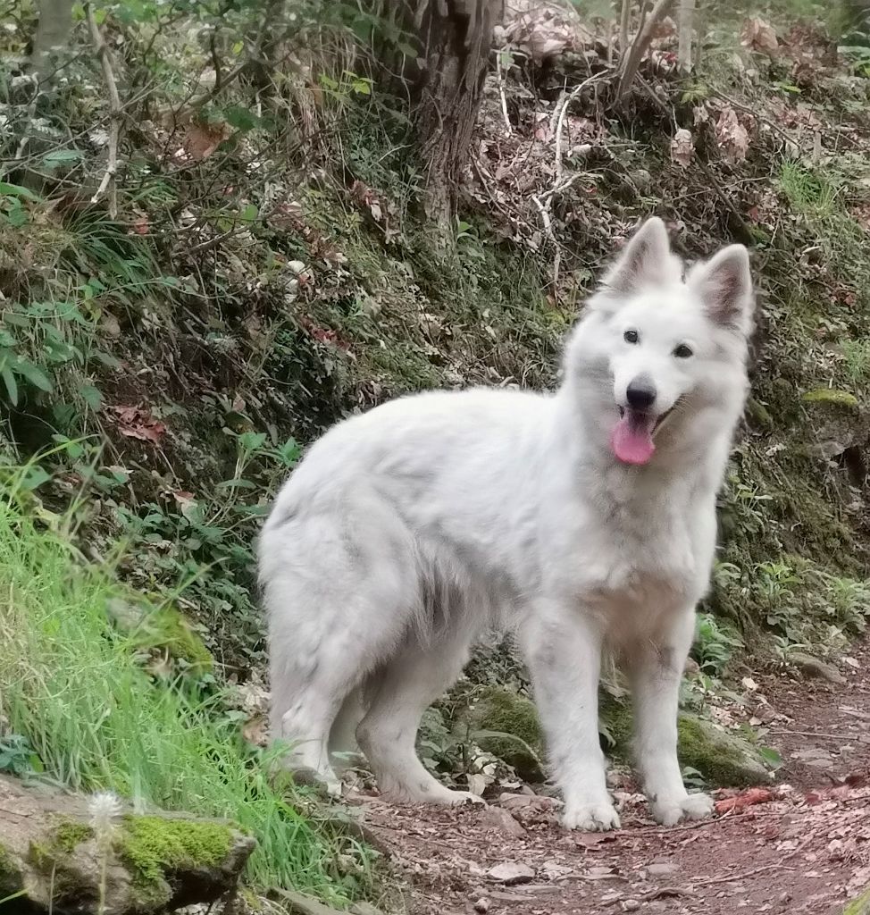 Neit sus arizes du Domaine De Cap Dé Lastouse