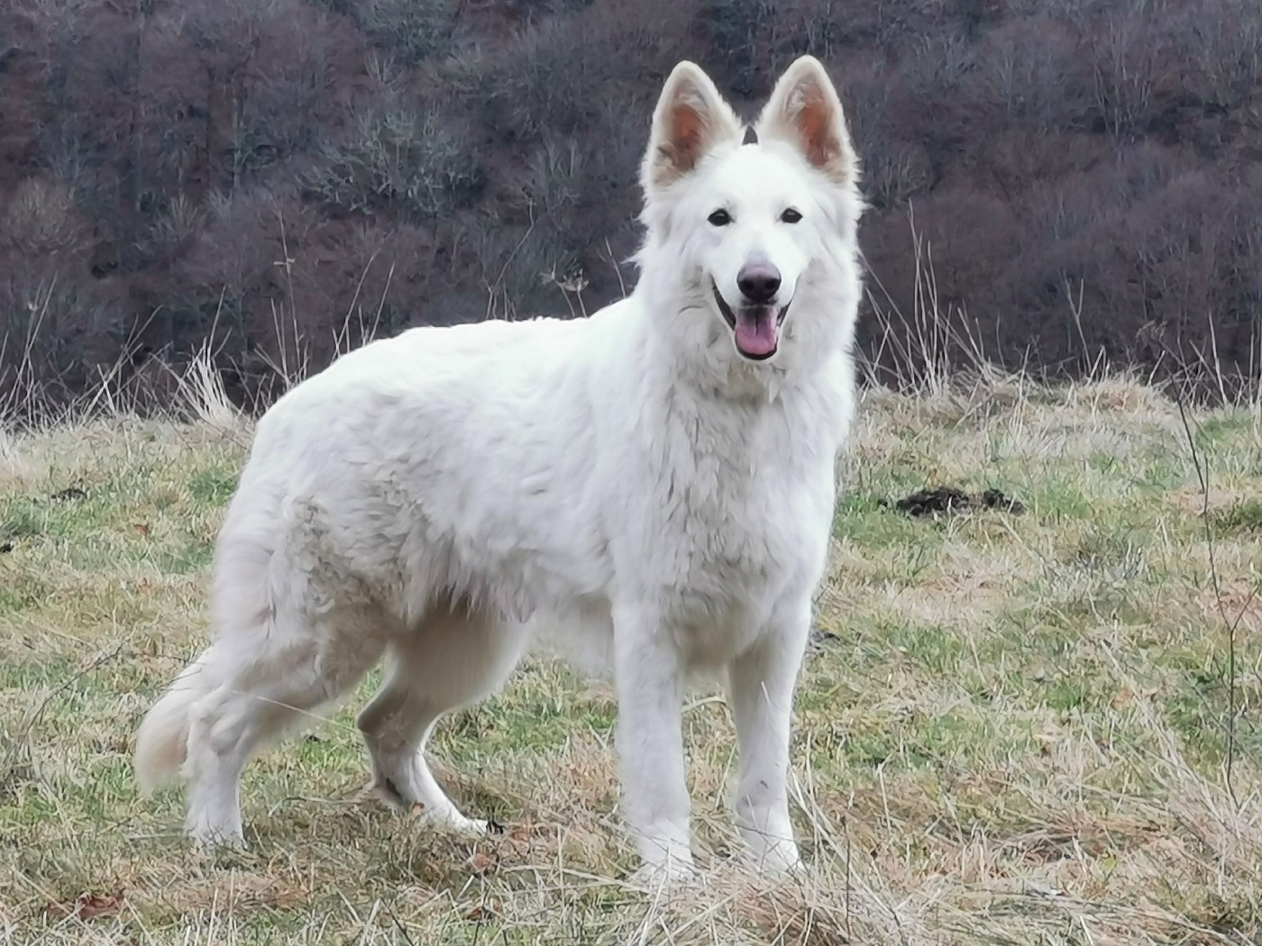 Utelle du domaine de Cap dé Lastouse du Domaine De Cap Dé Lastouse